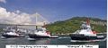 C744 HUD HK harbour tugs..jpg